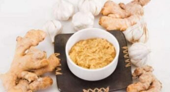 One of the Best Easy Tips To Keep Ginger And Garlic Fresh In Summer